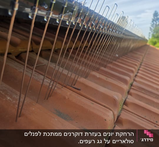 דוקרנים על גג למניעת יונים